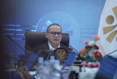 Menteri P2MI Meledak, Kasus TPPO Terus Menumpuk tapi Semua Beban Malah Ditimpakan ke Satu Kementerian