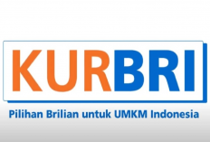 Simak Syarat Umum Pengajuan KUR BRI 2025 Terbaru, Bisa Diajukan Online dan Offline
