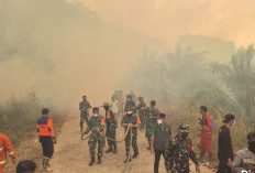 Kabut Asap Mencekik Kalimantan, PM2,5 Tembus 1.465,3, Warga Dipaksa Hirup Udara Berbahaya