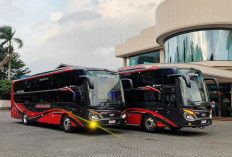 Eksklusif! Juragan 99 Trans Rilis Bus Double Decker Super Gahar