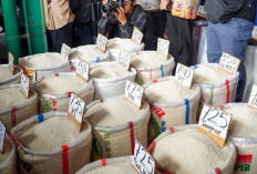 Beras Makin Mahal, 116 Daerah Kena Giliran Rakyat Dicekik Harga Pangan