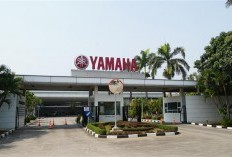 Yamaha Indonesia Raih GREEN PROPER di Semua Pabrik, Satu-Satunya di Industri Sepeda Motor