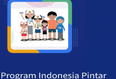 PIP 2025 Tak Cair Meski Sudah Diusulkan? Ternyata Ini 3 Faktor dan Solusinya