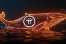 Harga Pi Network Berpotensi Meledak, Whale Misterius Beli 373 Juta Koin, Teori Wyckoff Jadi Sorotan