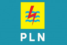Awal Tahun Berkah! PLN Bagi-bagi Promo Tambah Daya Listrik Diskon 50 Persen di Januari 2026, Begini Caranya