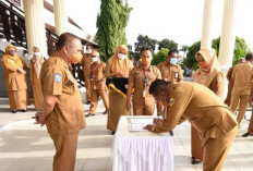 PPPK Mau Dirumahkan, Kas Daerah Boncos! Pemkot Tidore Ngaku Tekor, Pegawai Jadi Tumbal Defisit
