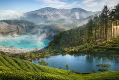 Lelah dengan Hiruk Pikuk Kota? 6 Destinasi Alam Bandung Ini Siap Jadi Tempat Healing Terbaik