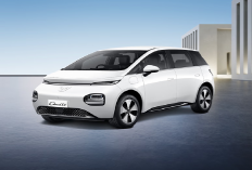 BYD, Wuling, hingga Toyota Bikin Geger! Daftar Harga Mobil Listrik Agustus 2025 Bikin Ngiler