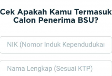 Pemerintah Siapkan Bantuan Upah untuk Pekerja Bergaji Kecil dan Guru Honorer, Juni Full Senyum!