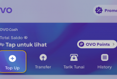 Mau Saldo Ovo Rp 300.000 Gratis? Download Sekarang 3 Aplikasi Spesial Buat Hari Ini