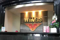 Lowongan Kerja WINGS Group 2026 Resmi Dibuka, Cek Posisi dan Cara Daftarnya