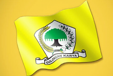 Partai Golkar Dukung Pemerintah Hentikan Penambangan Nikel di Raja Ampat