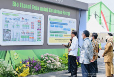 Brasil Ajak Indonesia Ikut Manfaatkan Potensi Bioetanol Singkong