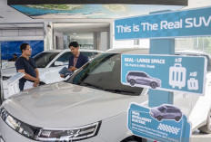Menteri Terlalu Pede? Industri Mobil Dibilang Melesat, Padahal Warga Masih Jauh dari Mimpi Punya Kendaraan