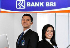 Lowongan Magang Bank BRI Terbaru Juli 2024 Posisi Teller, Buruan H-4 Penutupan!