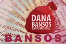 Awas Kena Tipu! Ikuti Tata Cara Cek Bansos PKH dan BPNT Online 2025