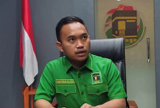 Imam Fauzan, Anak Politisi yang Langsung Melompat ke Sekjen PPP