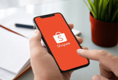Info Loker Shopee Indonesia Buka 9 Posisi Strategis, Cek Syarat dan Cara Daftarnya!