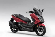 Honda Forza 2026 Resmi Meluncur di Jepang! Skutik Premium Makin Canggih dengan Layar TFT 5 Inci