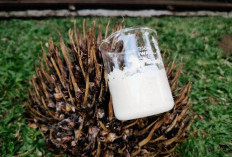 Limbah Sawit Disulap Jadi Krim Sunscreen, Inovasi Siswa Bogor Buka Peluang Baru Industri Kecantikan