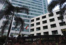 Bapenda DKI Jakarta Buka Lowongan Video Editor dan Motion Graphic Designer 2026, Ini Syarat dan Cara Daftarnya
