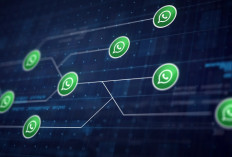 WhatsApp Luncurkan Fitur Baru Anti-Penipuan, Lindungi Pengguna Lansia dari Modus Online!