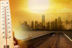 Terjawab! Penyebab Suhu Panas di Indonesia Mencapai 39 Derajat Celcius, BMKG Beberkan Fenomena ini...