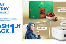 Blibli Payday! Kulkas 2 Pintu dengan Diskon Fantastis, Cuma Sampai 28 Februari