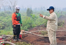 Prabowo Turun ke Kalimantan Cek Karhutla: Saya Datang Lihat Keadaan Nyata