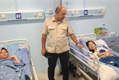 6.517 Penerima Makan Bergizi Gratis Alami Keracunan, BGN Bongkar Penyebabnya