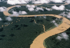 Amazon Terlalu Ganas untuk Dijembatani, Kenapa Sungai Raksasa Ini Tak Punya Satu pun Jembatan?