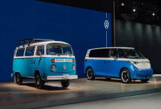 VW Bus Biru yang Bertahan dari Api: Kisah Azul, Simbol Harapan di Tengah Bencana