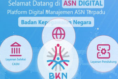 ASN Digital Kini Wajib MFA, Ini Cara Aktivasi dan Login Terbarunya