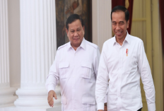 Hubungan Jokowi dan Prabowo Bermasalah? Istana Bilang Begini