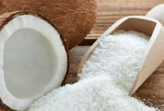 4 Cara Mudah Membuat Scrub Ampas Kelapa, Kulit Putih Hanya Hitungan Jam!