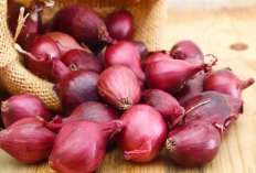 6 Cara Penyimpanan Bawang Merah Supaya Tidak Cepat Busuk