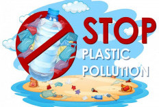 5 Cara Sampah Plastik Membahayakan Lingkungan