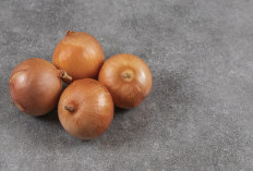 Jangan Buang Sisa Bawang! Begini Cara Menanam Bawang Bombai di Rumah Bisa Panen Berkali-kali