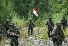 Kontak Tembak TNI vs OPM di Lanny Jaya: Komandan Operasi Kodap XII Mayu Waliya Tewas, Markas Utama Dikuasai Pasukan Habema