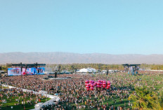 Wajib Tahu! Berapa Budget Buat Nonton Coachella? Yuk Cek