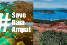 Ramai #SaveRajaAmpat, Ini Dampak Buruk Tambang Nikel Bagi Pulau Wisata