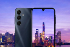 7 HP Samsung RAM 8/256 GB Terbaik 2026, Paling Worth It untuk Jangka Panjang