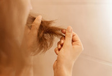 4 Bahan Herbal untuk Mengatasi Rambut Rontok Secara Alami dan Aman