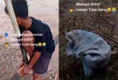 Viral! Anak Ini Diborgol 5 Jam Karena Ketahuan Cari Brondolan di Perkebunan Kelapa Sawit