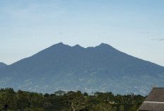 EIGER Nature Perkuat Konservasi Puncak dengan 120 Ribu Pohon dan Konsep 7E di Puncak Bogor