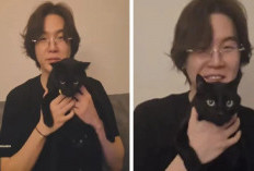 ARMY Kaget! Live Perdana Suga BTS Ternyata Penuh Kejutan Manis, Pamer Kucing Rahasia Bernama Tang