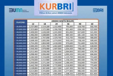 KUR BRI 2026 Jadi Rebutan! Pinjam Rp300 Juta Cicilan Perbulan Mulai Rp1 Jutaan, Cek Syarat Pengajuannya