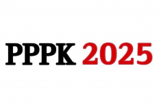 CPNS 2025 Ditiadakan! Cuma Jalur PPPK yang Dibuka, Ini Instansi yang Buka Lowongan