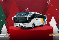 Promo Akhir Tahun Naik Bus Damri, Aktif Sampai 18 Desember 2025!