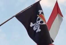 Pemerintah Tetapkan Batasan, Bendera One Piece Boleh Dipasang Asalkan...